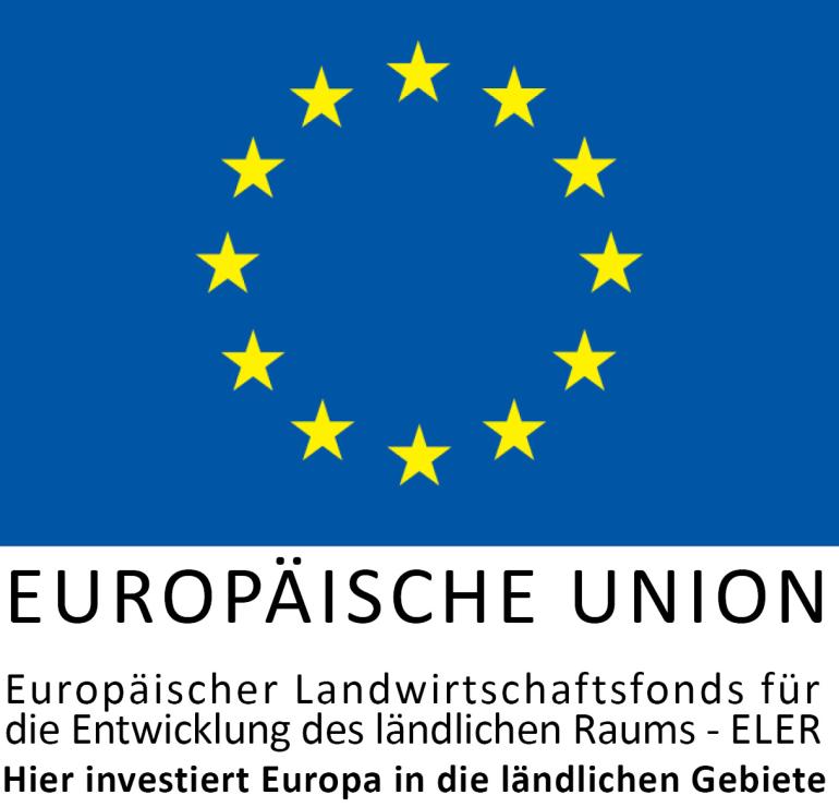 Logo Europäische Union